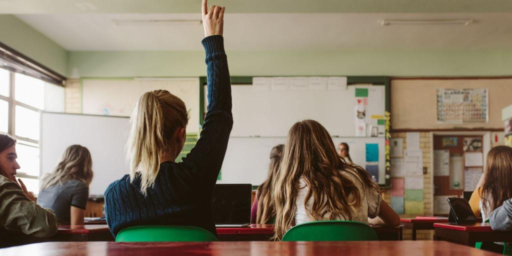 foto di una classe di studenti liceali, si vede sullo sfondo cattedra e lavagna sfuocate, poi in primo piano di spalle una studentessa con i capelli biondi in una coda alta che alza la mano per fare una domanda